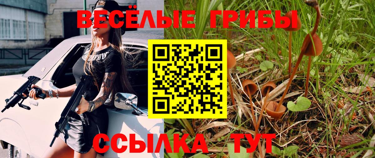 Галлюциногенные грибы Psilocybine cubensis  Вход с VPN  Кизляр 