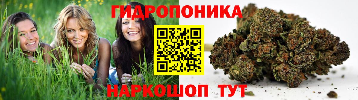 Бошки Шишки SATIVA & INDICA Кизляр