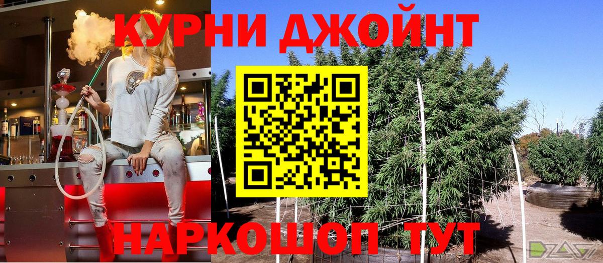 Бошки Шишки конопля  Канабис семена  Кизляр  Марихуана конопля  Конопля SATIVA & INDICA  Вход с VPN 
